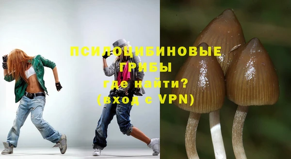 ПСИЛОЦИБИНОВЫЕ ГРИБЫ Няндома