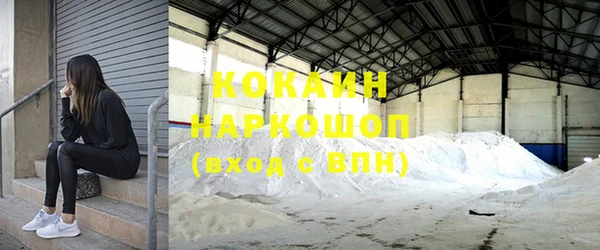 apvp Новозыбков