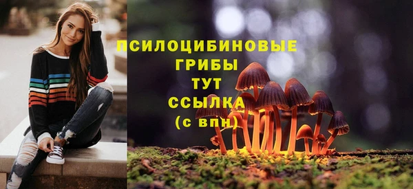 apvp Новозыбков