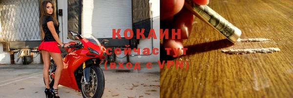 apvp Новозыбков
