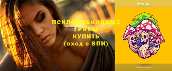 бутират Новодвинск