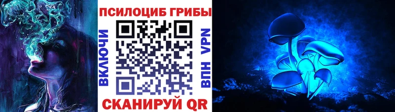 Псилоцибиновые грибы Magic Shrooms  цена   Южа 